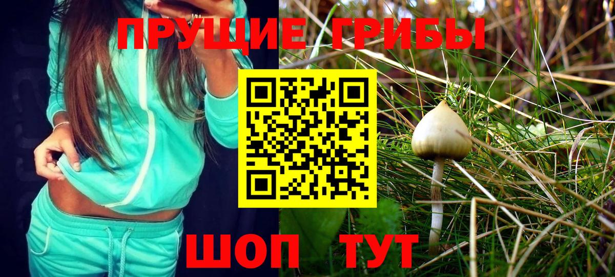 Галлюциногенные грибы MAGIC MUSHROOMS Балахна