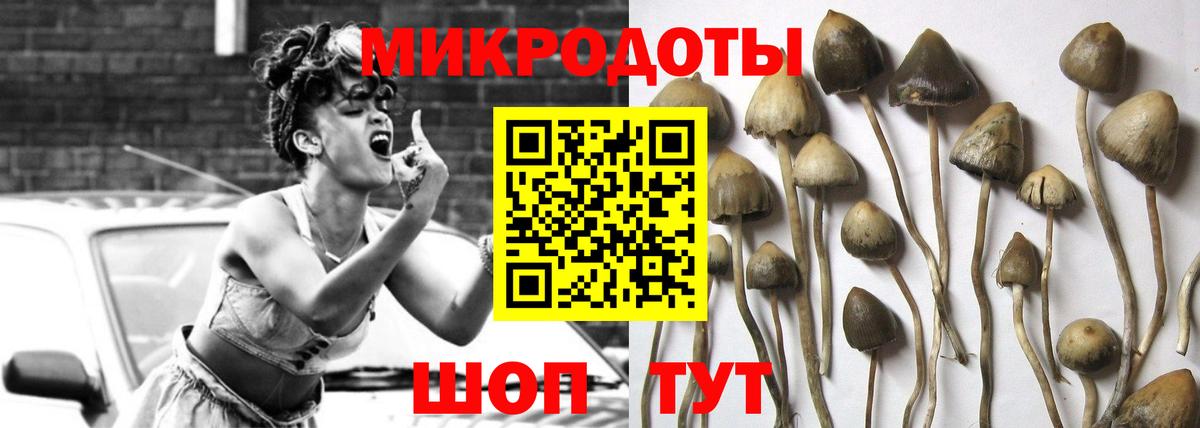 Псилоцибиновые грибы Cubensis  Псилоцибиновые грибы Cubensis  Вход с VPN  Балахна 